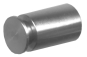 Edelstahlhalter mit Flachkopf Ø 13 mm